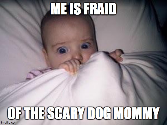 1665505211510.png