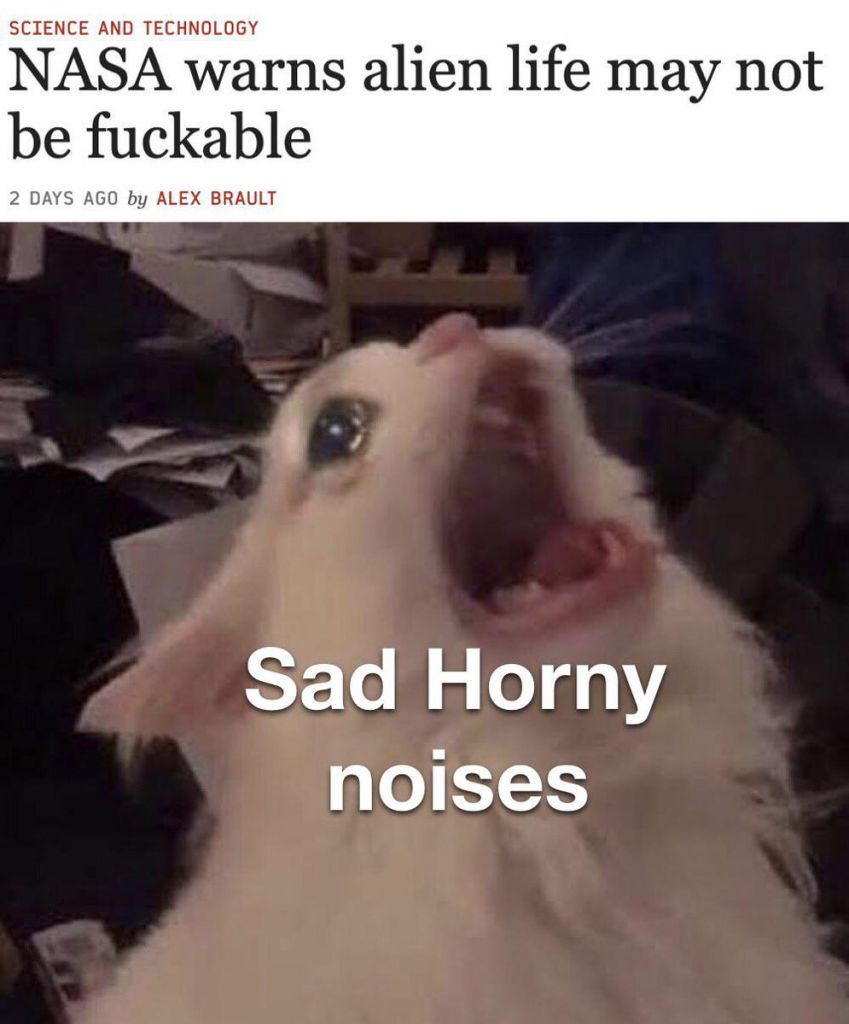 1665547980794.jpeg