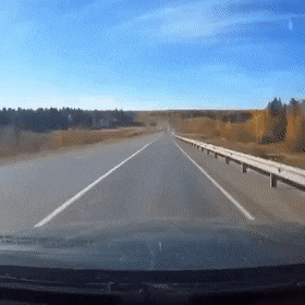 1665590216_23.gif