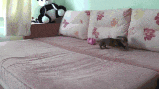 1665676065_5.gif