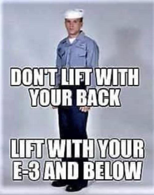 1665692335198.jpeg