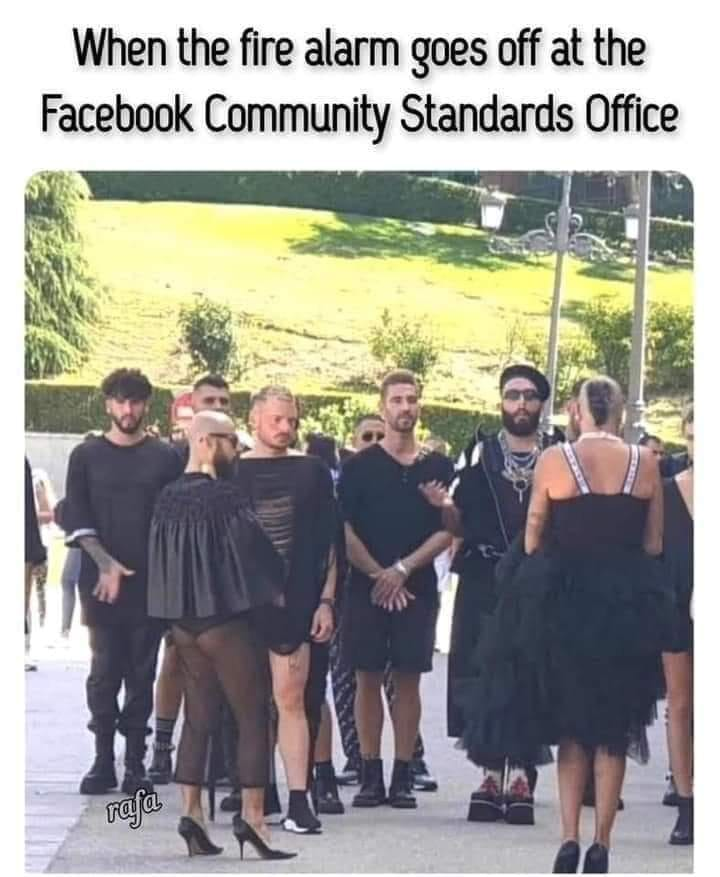 1665977248032.png