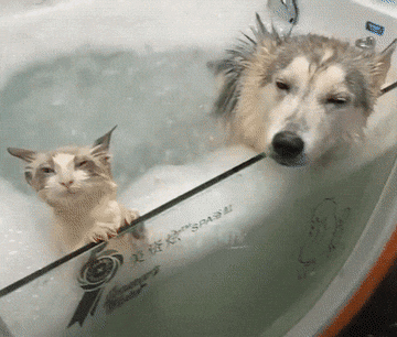 1666021646_18.gif