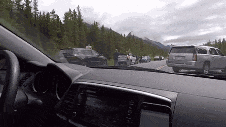 1666112905_14.gif