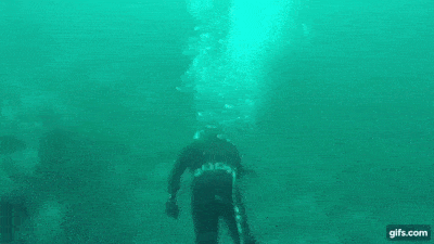 1666199626_5.gif