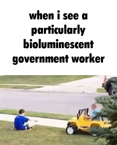 1666233946130.gif