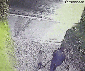 1666280737_7.gif