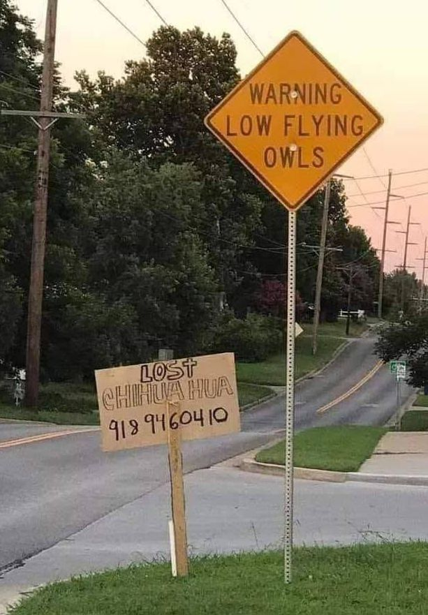 1666463182399.png