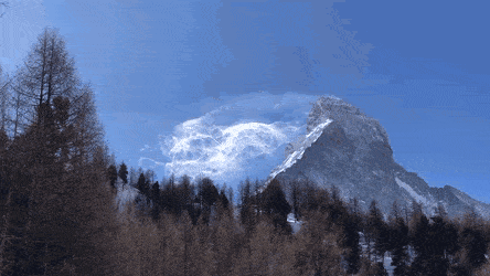 1666705525_25.gif