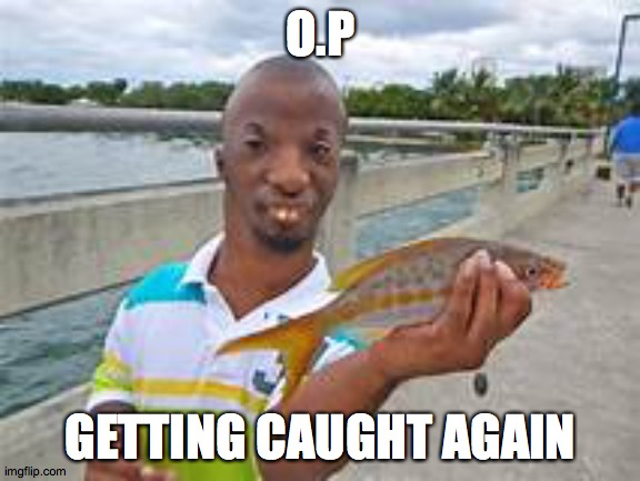 1666714311763.png