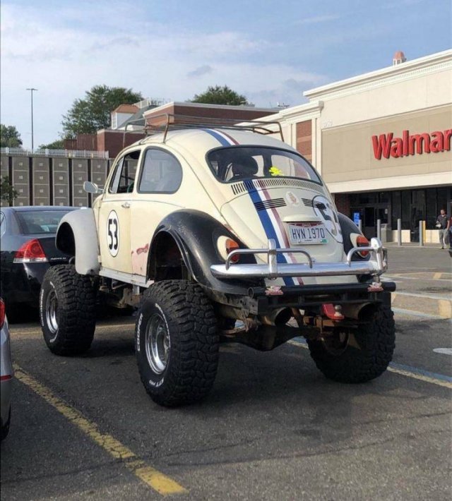 1666785484_8w8s93i7be.jpg