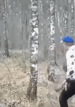 1666801543_24.gif
