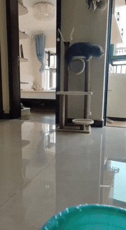 1666801609_3.gif