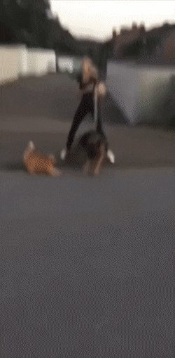 1666978114_19.gif