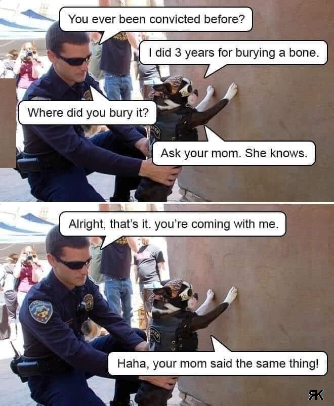 1667016175117.jpeg