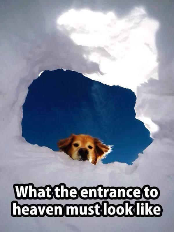 1667060812859.png