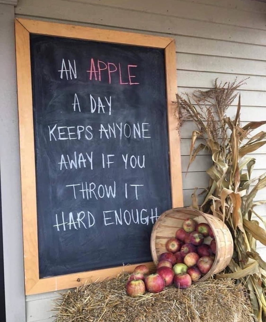 1667155384394.png