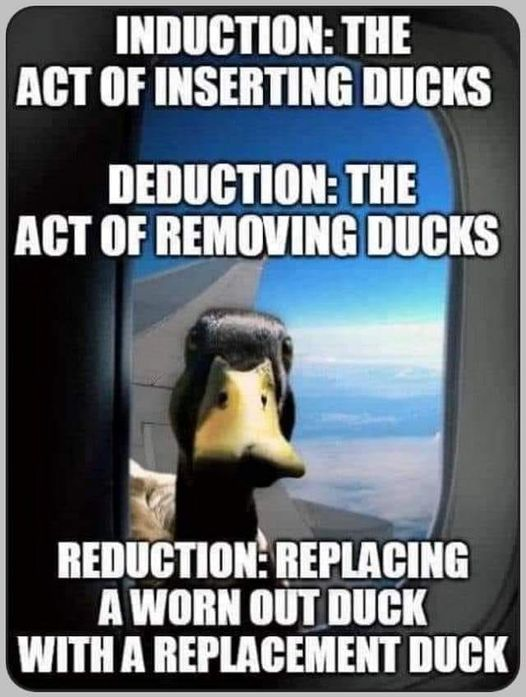 1667160357013.png