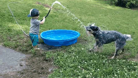 1667319247_1.gif