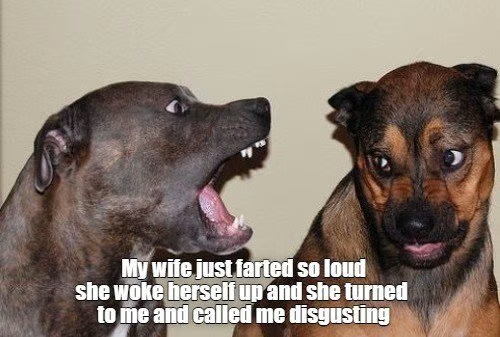 1667350729731.png