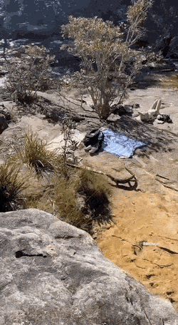 1667377842_4.gif