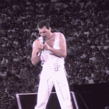1667417785746.gif