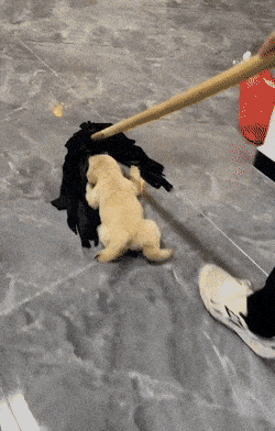 1667487019_18.gif