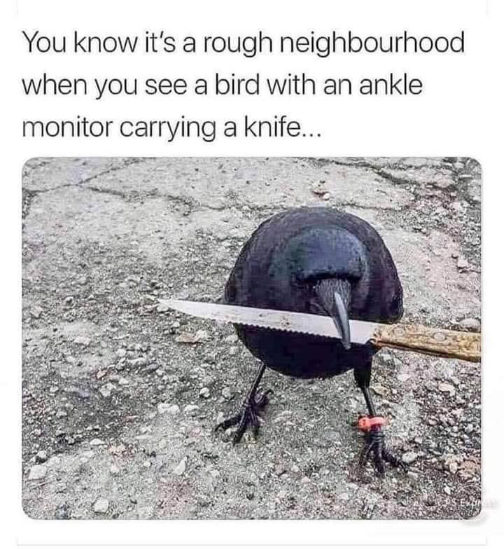 1667488522494.png