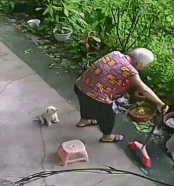 1667580417_20.gif