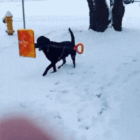 1667580423_5.gif
