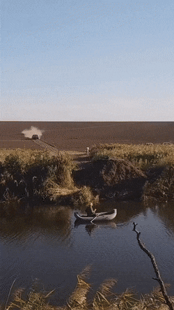 1667580435_14.gif