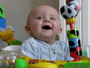 1667741462222.gif