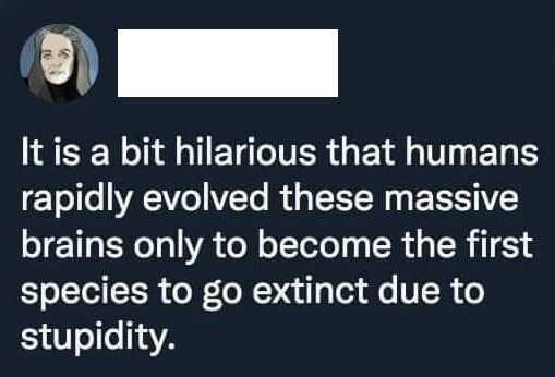1667774525680.png