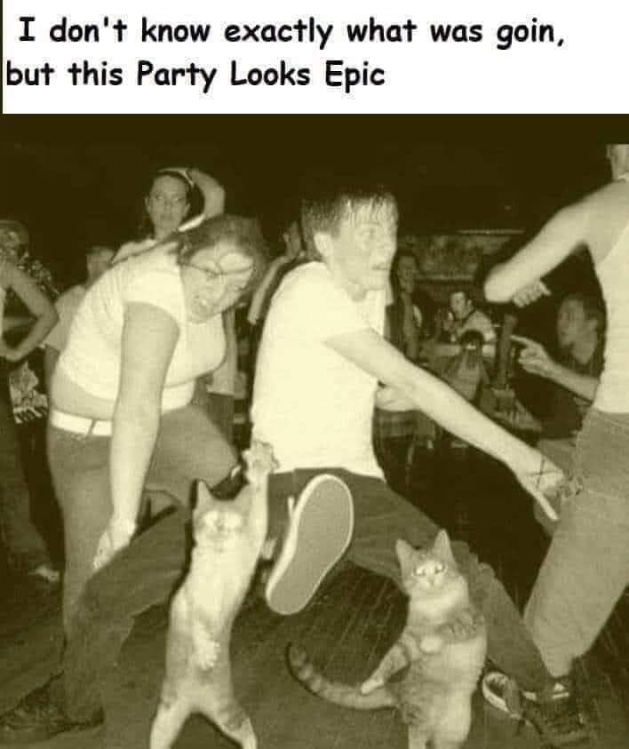 1667831407303.png