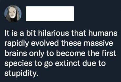 1667836219574.png