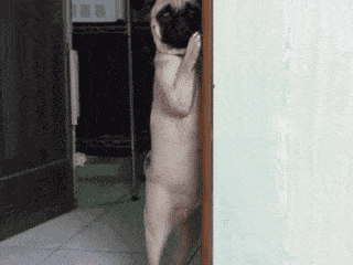 1667849973_13.gif