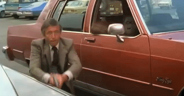 1668037946071.gif