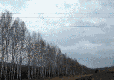 1668038610727.gif