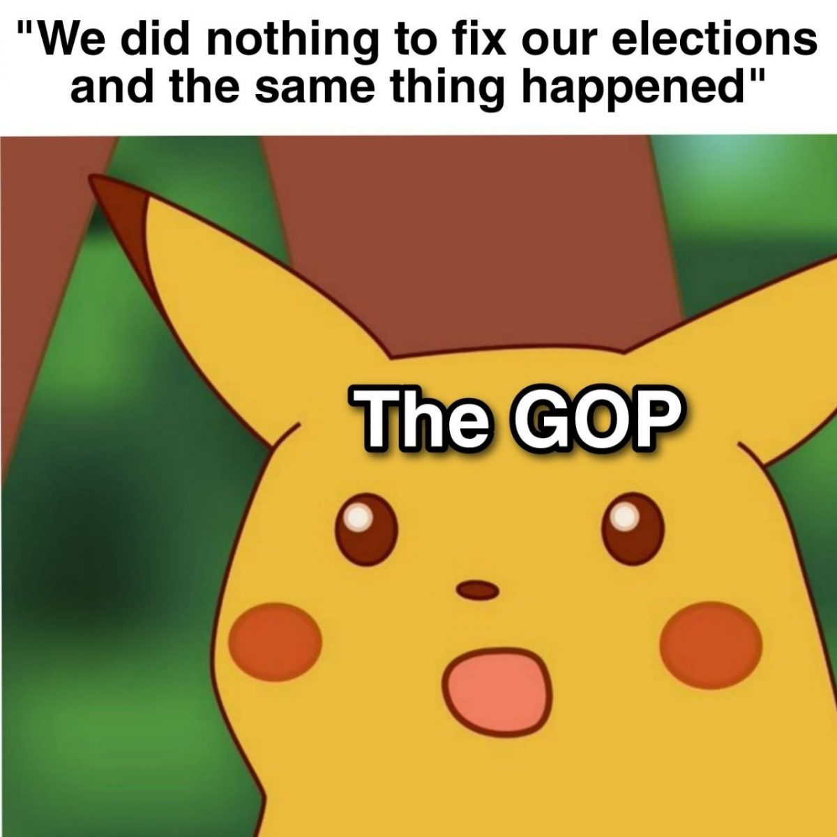 1668078602067.jpeg