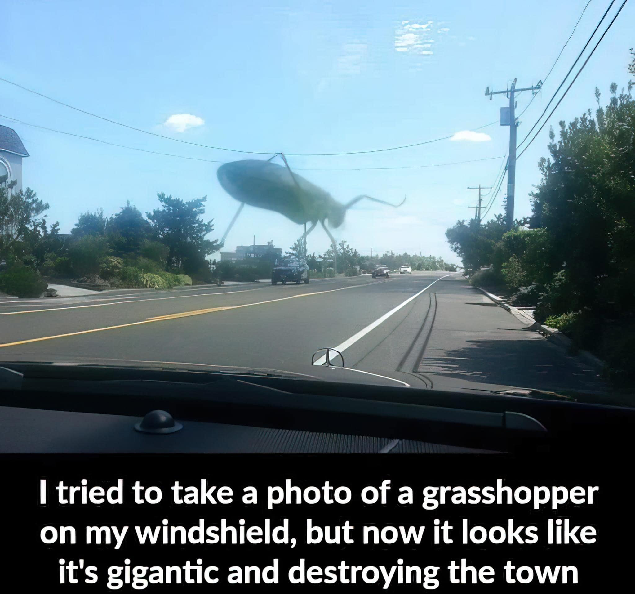 1668092005356.png