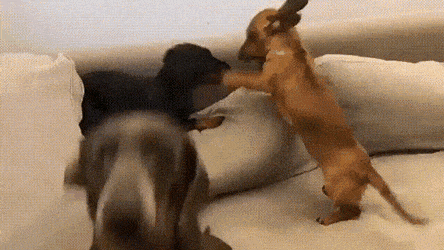 1668105694_5.gif