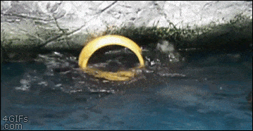 1668105756_2.gif