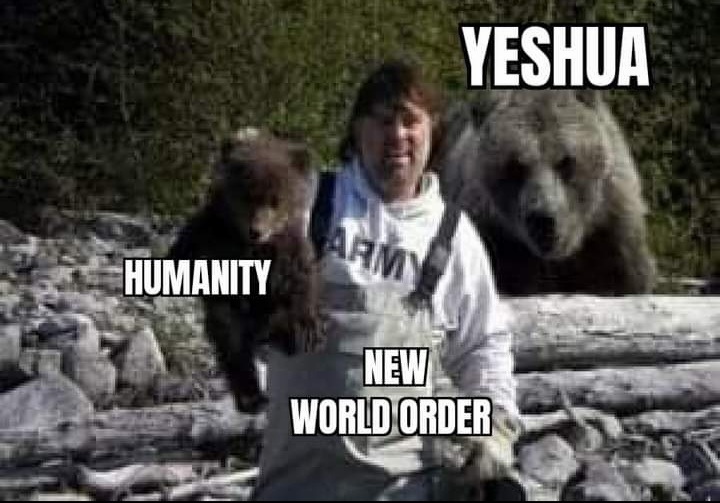 1668112130450.jpeg