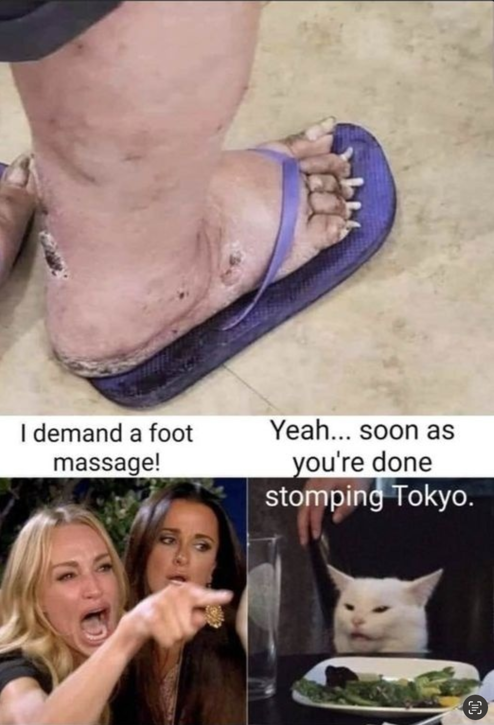 1668309343462.png