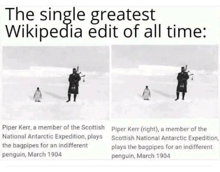 1668441938708.png