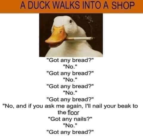 1668469255070.jpeg