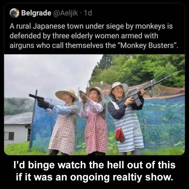 1668483597693.png