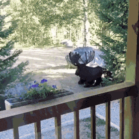 1668522633_25.gif