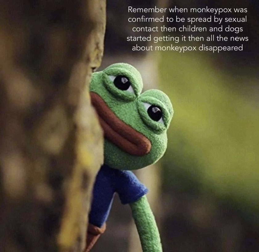 1668551779424.png