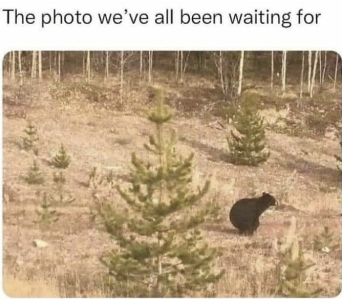 1668566205941.png